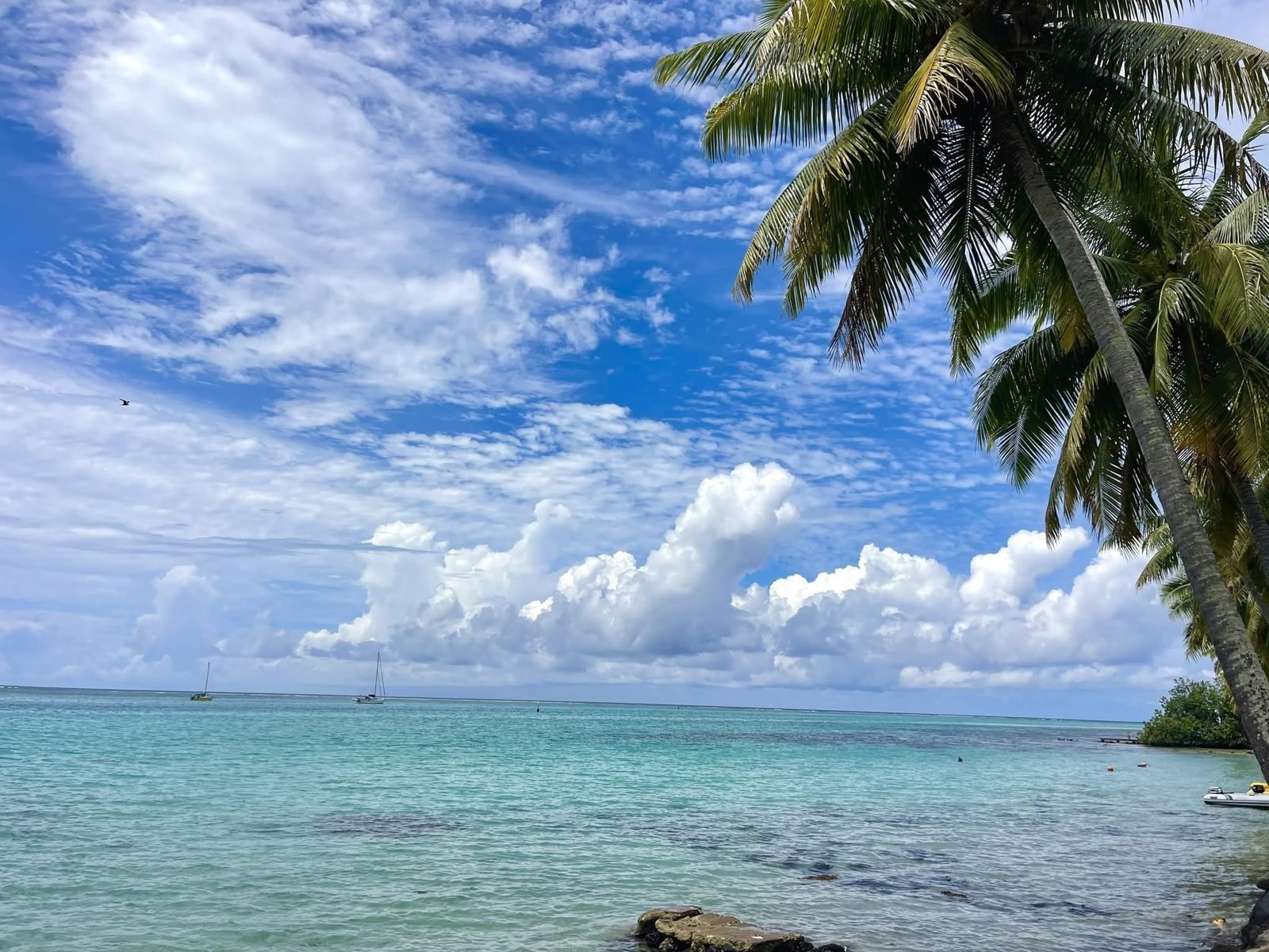 Le lagon turquoise de la Mareto sous un ciel bleu, cocotiers penchés